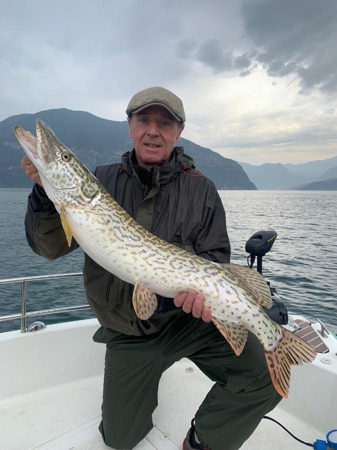 In Riva Al Lago Di Iseo Dependance Primo Piano มาโรเน ภายนอก รูปภาพ